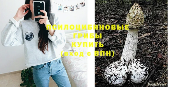 дживик Аркадак