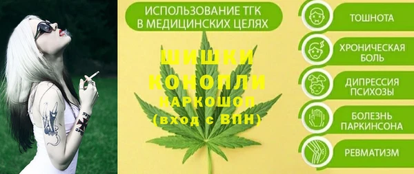 сатива Арсеньев