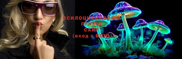 сатива Арсеньев