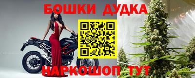 spice Новокубанск