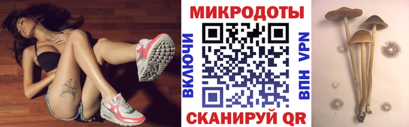 закладки  Электрогорск  Галлюциногенные грибы мухоморы 