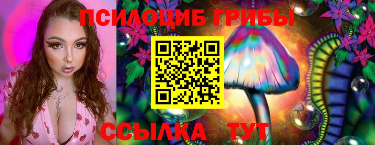 Электрогорск  Галлюциногенные грибы Cubensis  Вход с VPN 